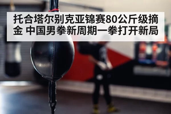 boxer training punching bag gym
